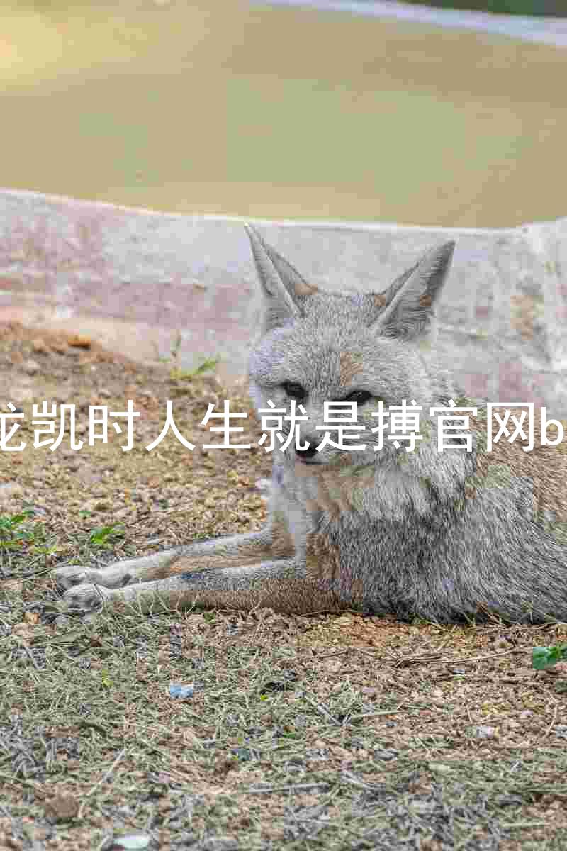 尊龙凯时人生就是搏官网bjl8