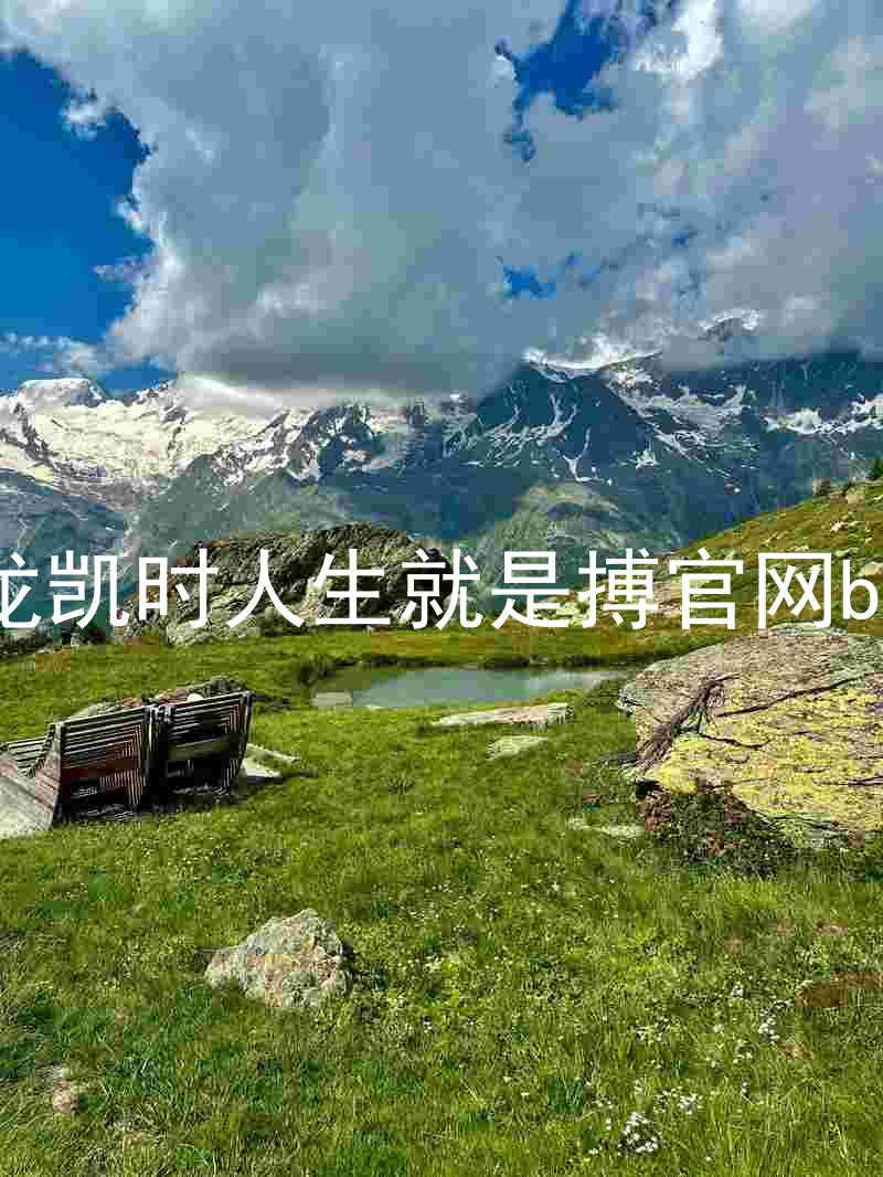 尊龙凯时人生就是搏官网bjl8