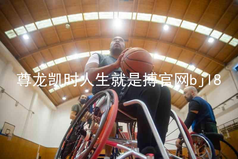 尊龙凯时人生就是搏官网bjl8