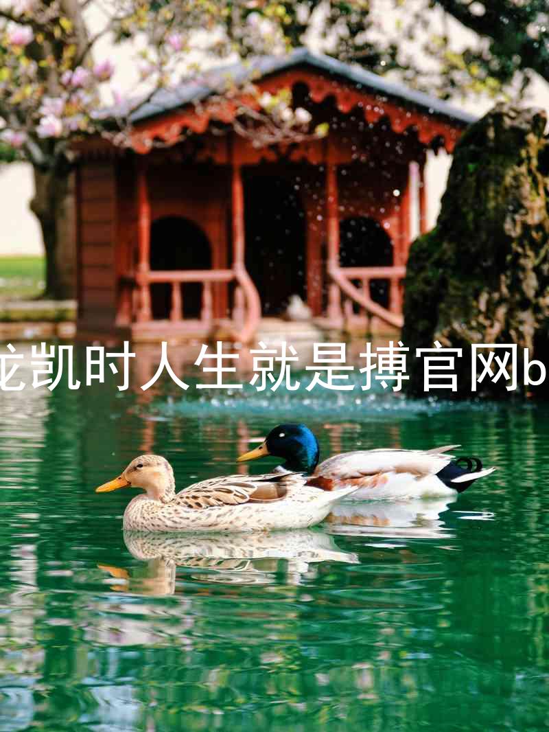尊龙凯时人生就是搏官网bjl8