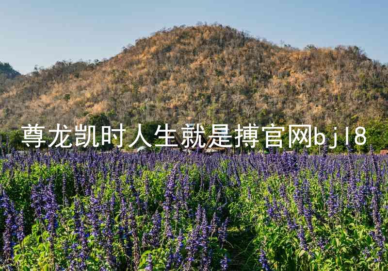 尊龙凯时人生就是搏官网bjl8