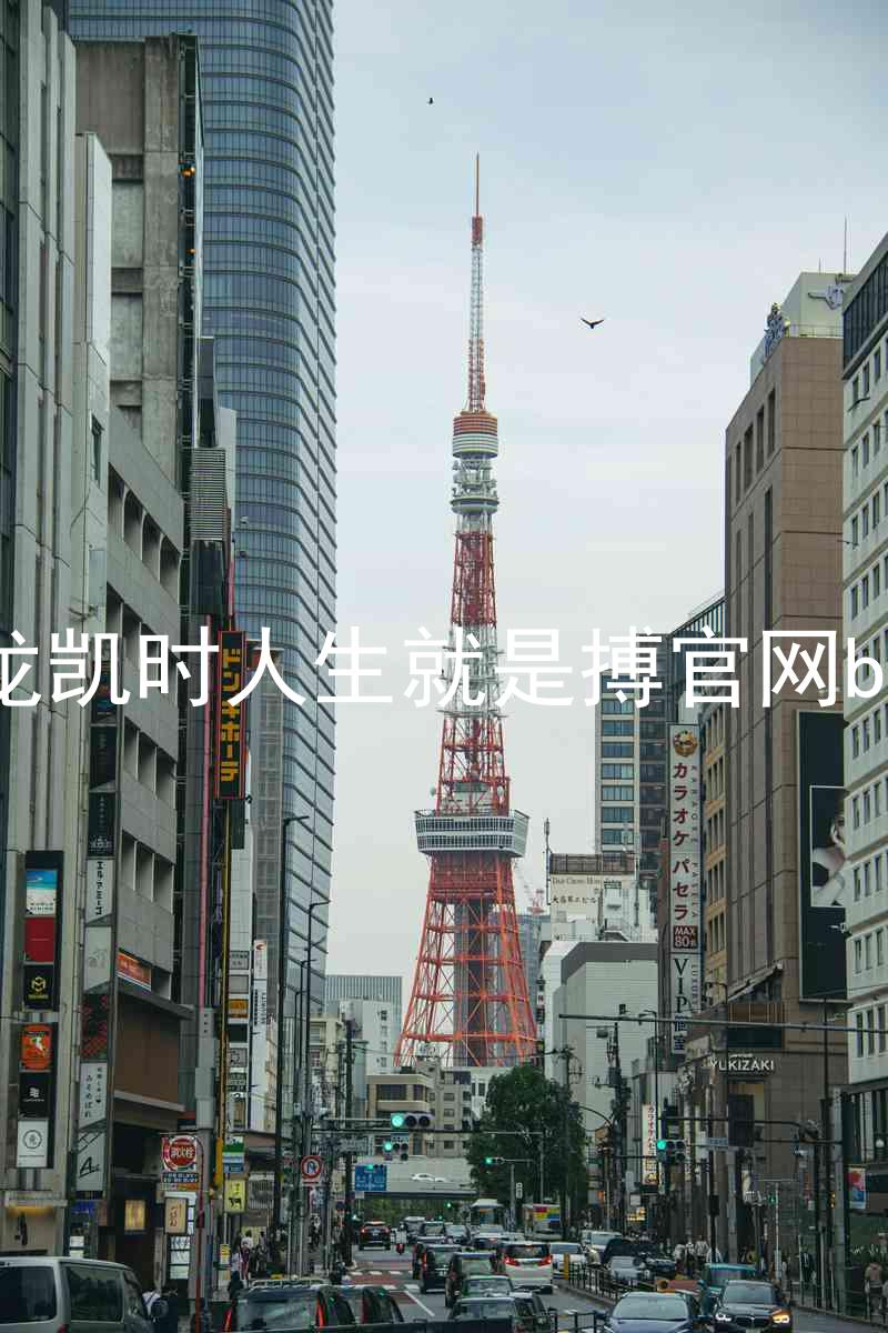 尊龙凯时人生就是搏官网bjl8