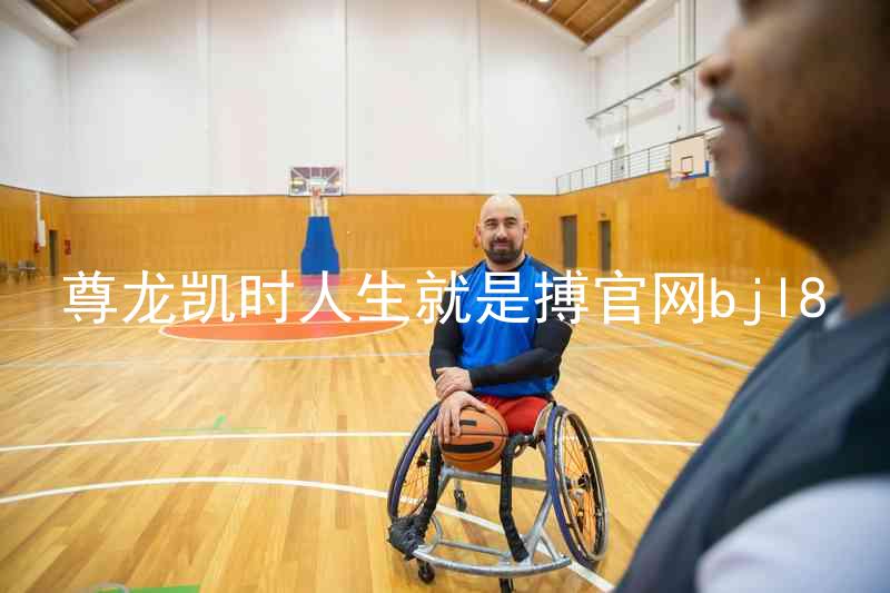 尊龙凯时人生就是搏官网bjl8