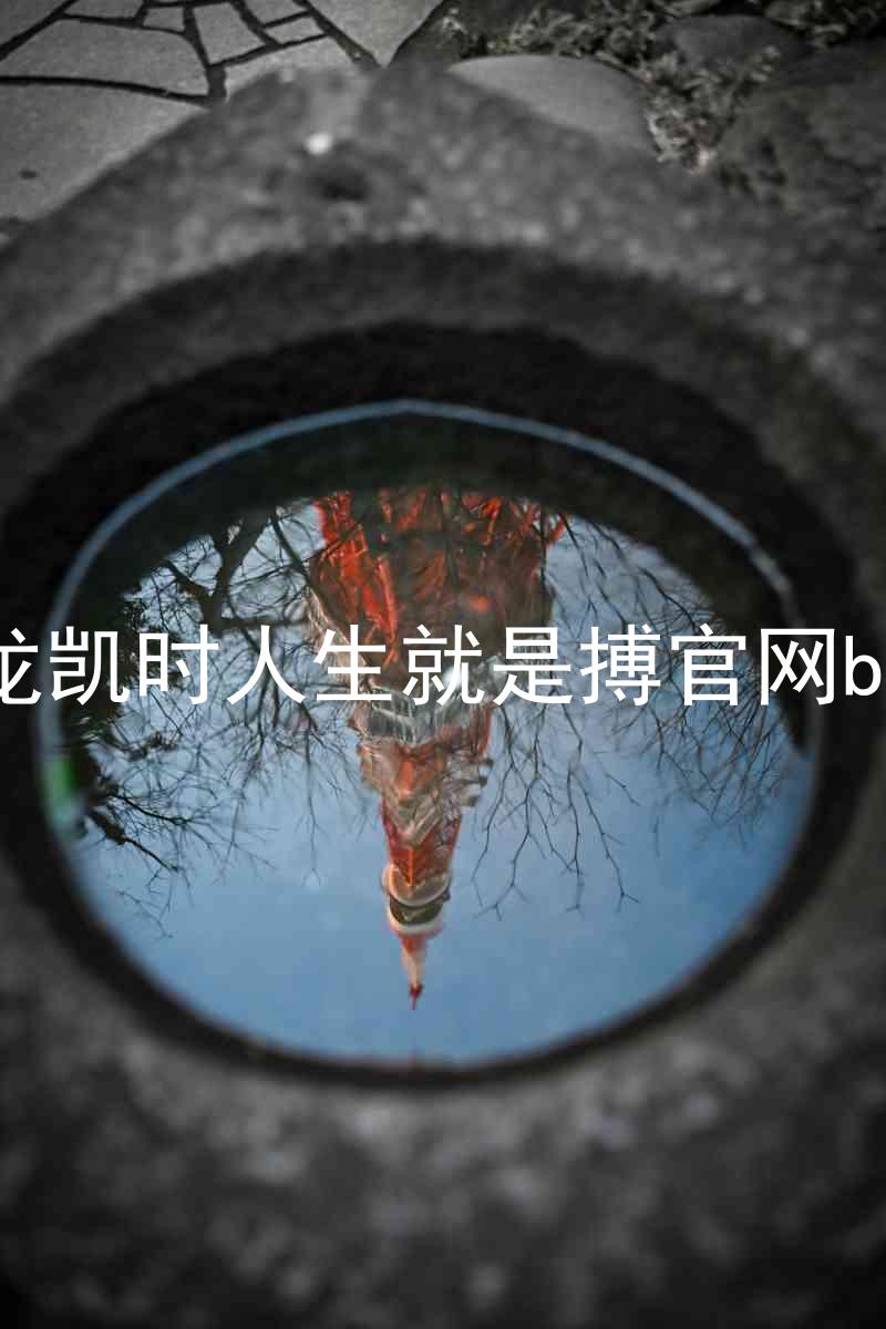 尊龙凯时人生就是搏官网bjl8